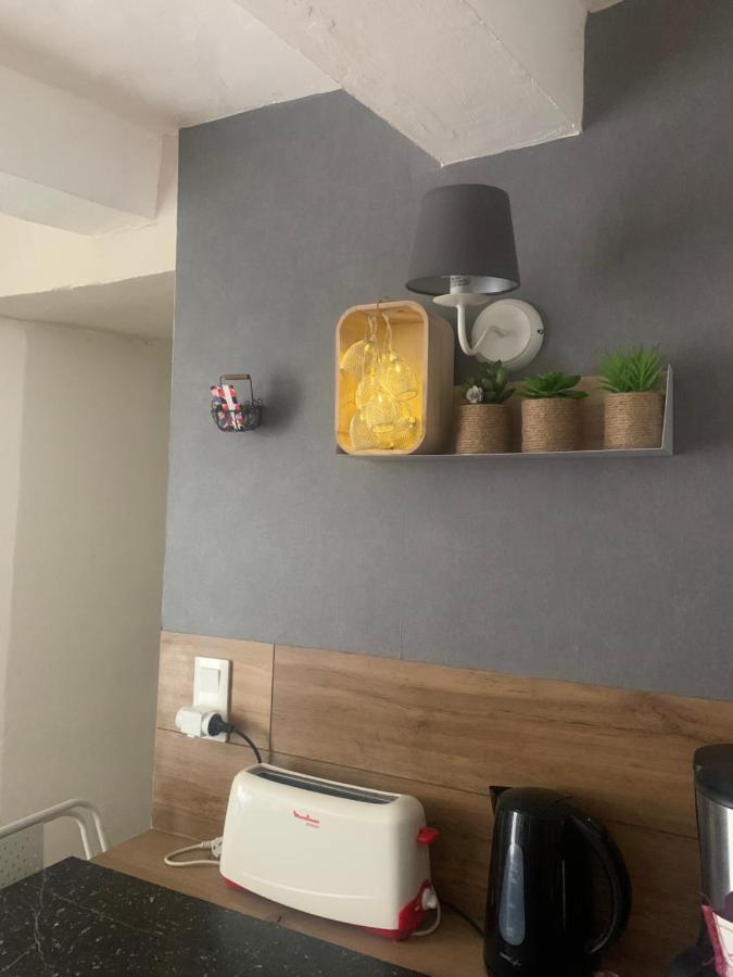 La Petite Adresse De Rose Maison De Vacances Entree Autonome Le Poujol-sur-Orb Zewnętrze zdjęcie